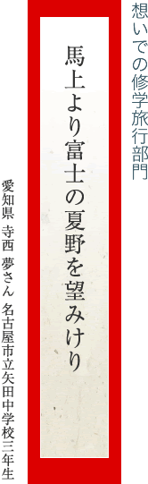 馬上より富士の夏野を望みけり