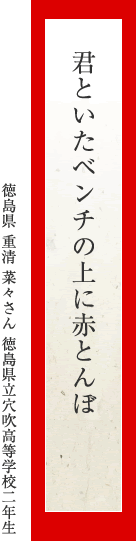 君といたベンチの上に赤とんぼ