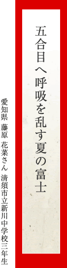 五合目へ呼吸を乱す夏の富士