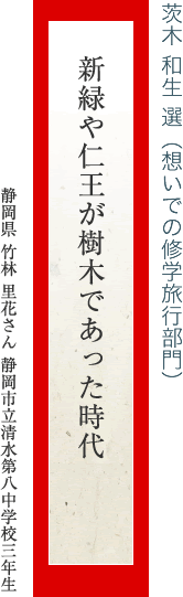 新緑や仁王が樹木であった時代