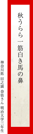 秋うらら一筋白き馬の鼻