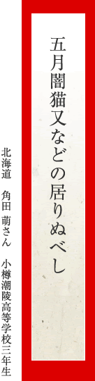 五月闇猫又などの居りぬべし