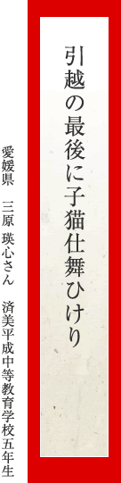 引越の最後に子猫仕舞ひけり