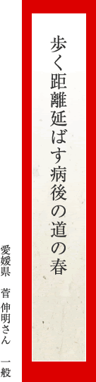 歩く距離延ばす病後の道の春