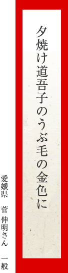 夕焼け道吾子のうぶ毛の金色に