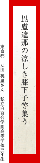 毘盧遮那の涼しき膝下子等集う