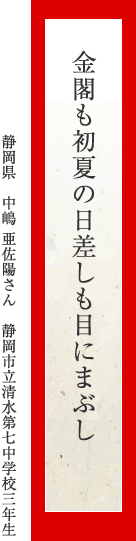 金閣も初夏の日差しも目にまぶし