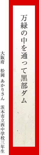 万緑の中を通って黒部ダム