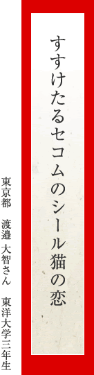 すすけたるセコムのシール猫の恋