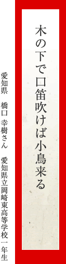 木の下で口笛吹けば小鳥来る　