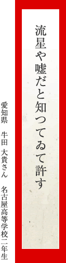 流星や嘘だと知つてゐて許す