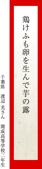 鶏けふも卵を生んで芋の露