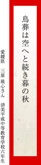 鳥葬は空へと続き暮の秋