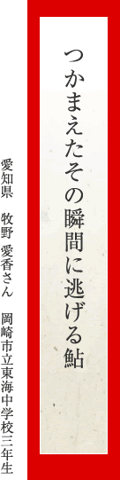 つかまえたその瞬間に逃げる鮎