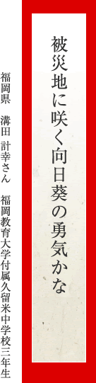 被災地に咲く向日葵の勇気かな