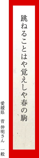 跳ねることはや覚えしや春の駒