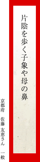 片陰を歩く子象や母の鼻