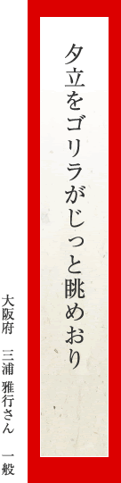 夕立をゴリラがじっと眺めおり