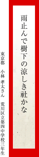 雨止んで樹下の涼しき社かな