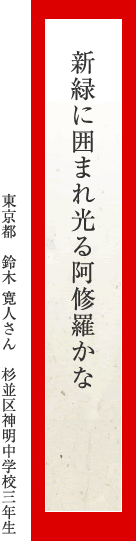 新緑に囲まれ光る阿修羅かな