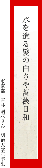 水を遣る髪の白さや薔薇日和