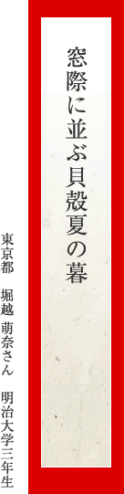 窓際に並ぶ貝殻夏の暮