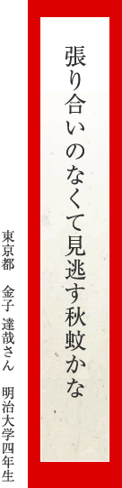 張り合いのなくて見逃す秋蚊かな