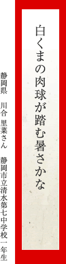 白くまの肉球が踏む暑さかな