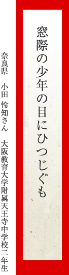 窓際の少年の目にひつじぐも