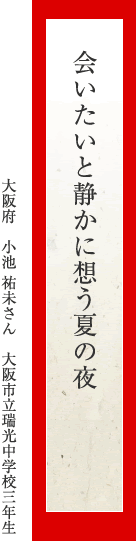 会いたいと静かに想う夏の夜