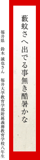 藪蚊さへ出でる事無き酷暑かな