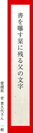 書を曝す栞に残る父の文字