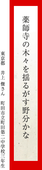 薬師寺の木々を揺るがす野分かな