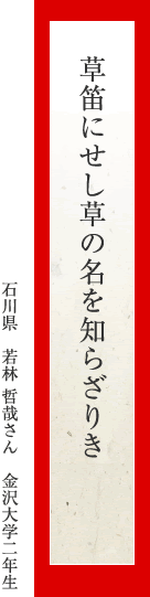 草笛にせし草の名を知らざりき