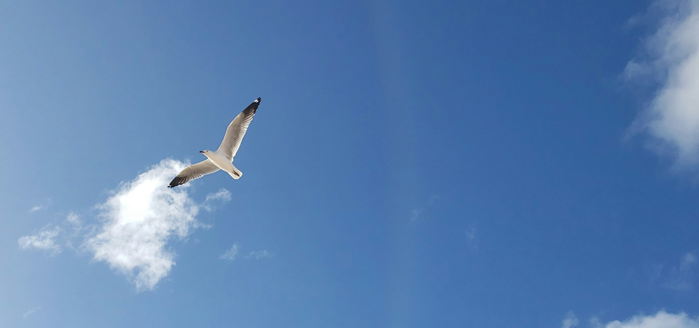 卒業式・学位記授与式　特設サイト