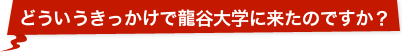 どういうきっかけで龍谷大学に来たのですか？