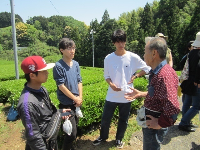 経済学部 西川芳昭ゼミのフィールドワーク（お茶摘み体験等） | ニュース | 龍谷大学 You, Unlimited