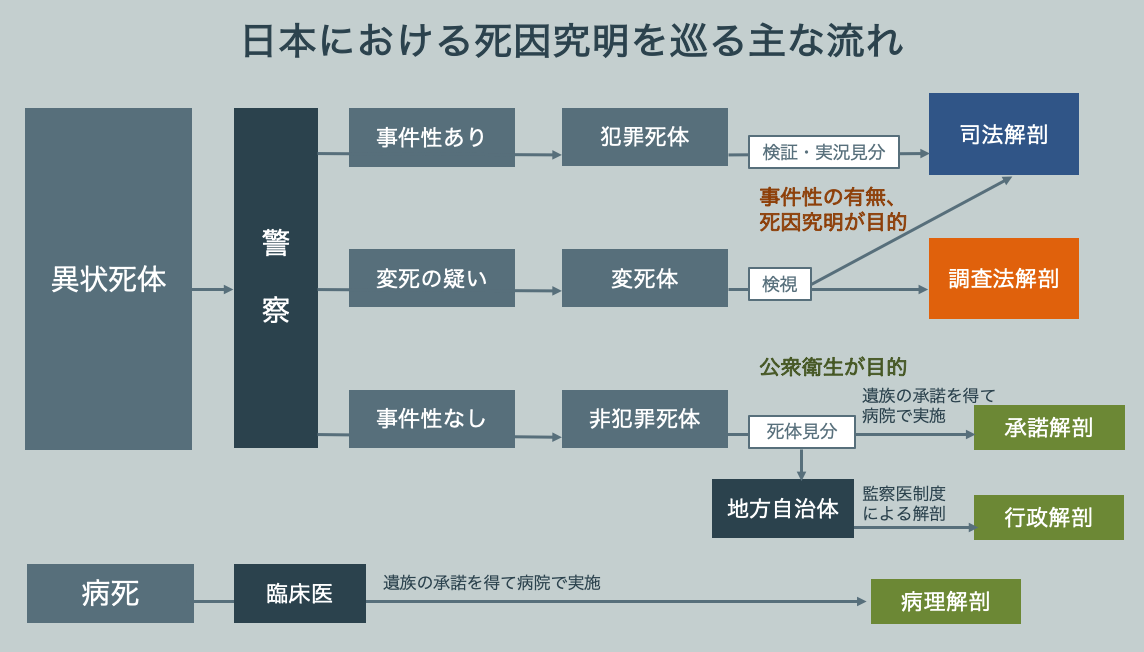 日本における死因究明を巡る主な流れ