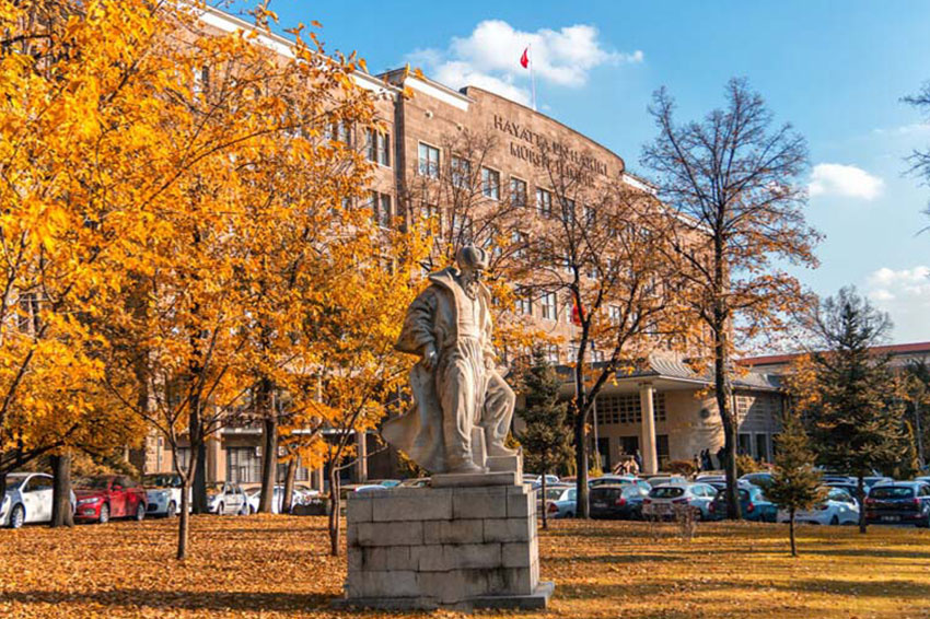 Ankara Üniversitesi