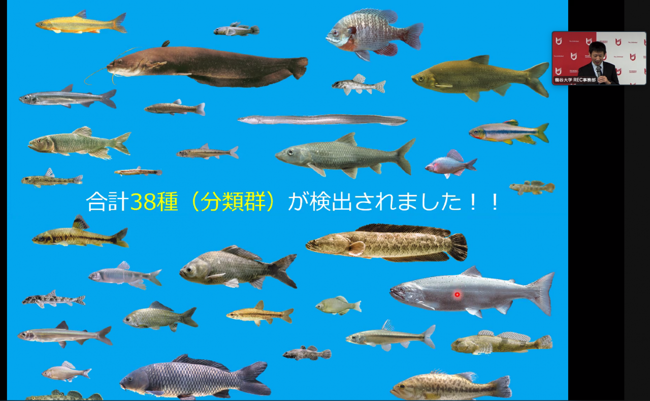 報告資料より(今年度の検出内容)※画像は滋賀県立琵琶湖博物館提供