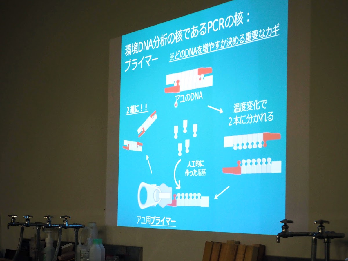 山中センター長のスライドより(環境DNA分析の核であるPCRの核)