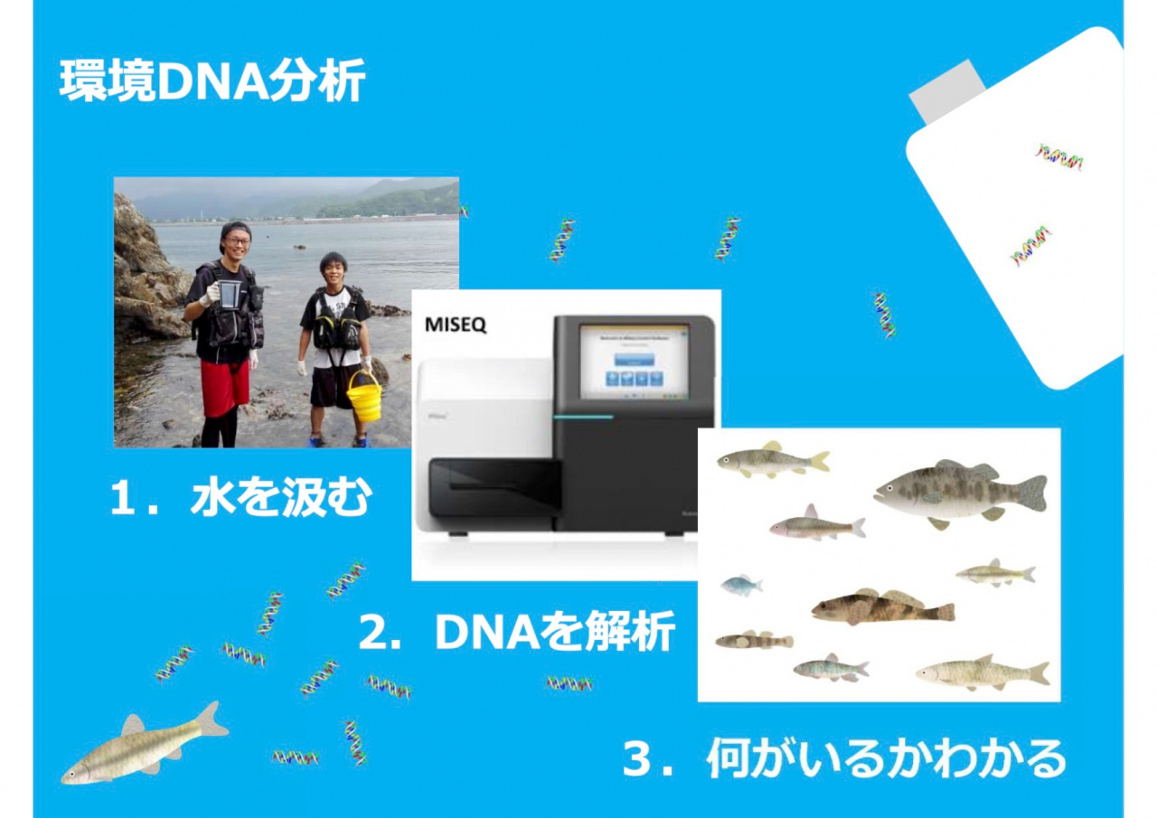 山中准教授の講義スライドより