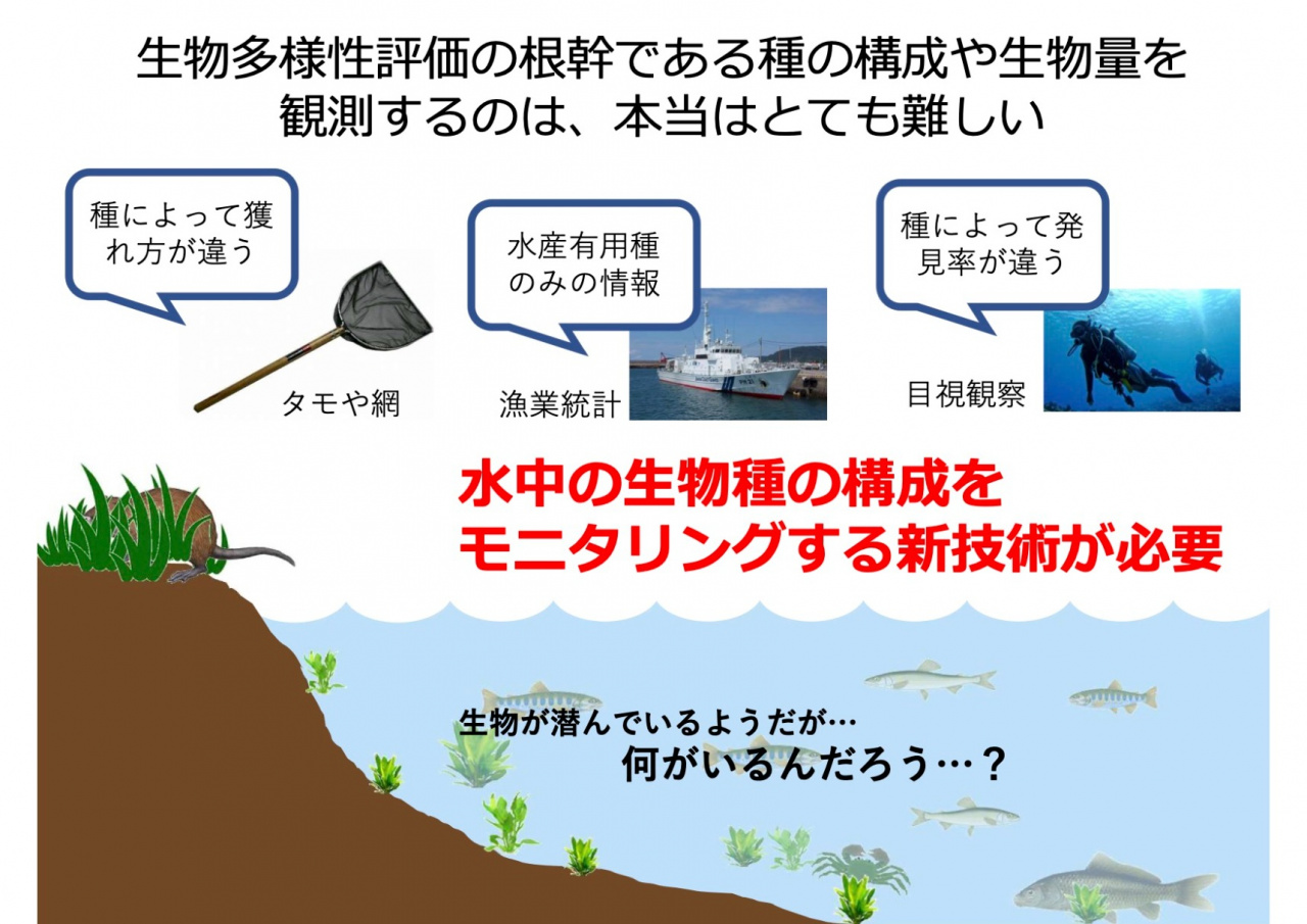 山中准教授の講義スライドより