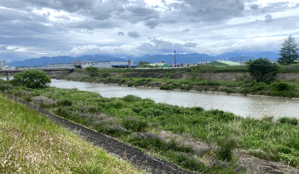 滋賀県東部を流れる宇曽川で2021年2月にオヤニラミを初採集