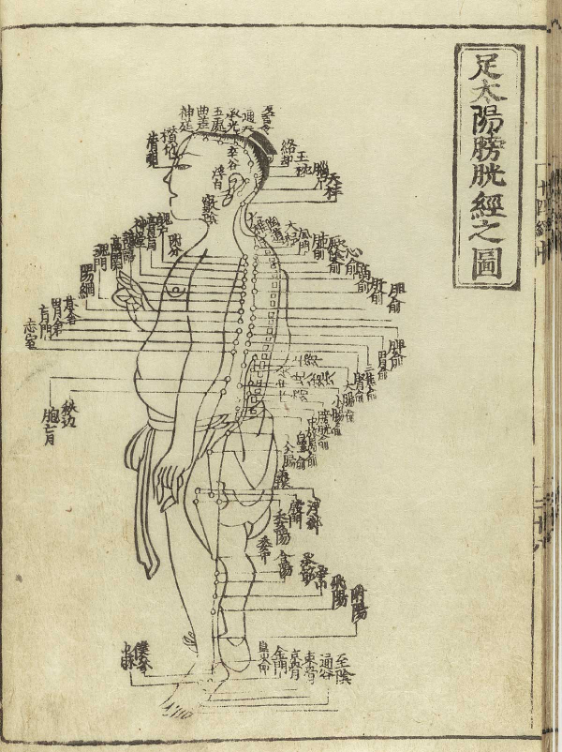 出典:滑寿『十四経発揮』(Wikipedia Public Domain)