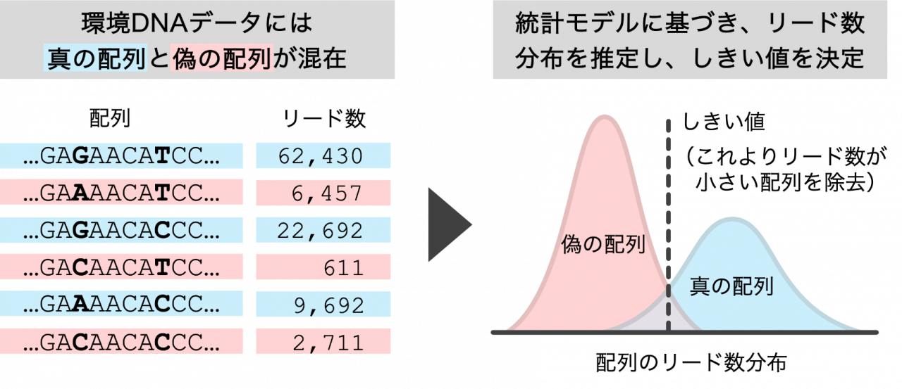 新たな手法による偽の配列の選別・除去の概念図