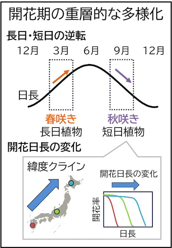 研究概要のイメージ