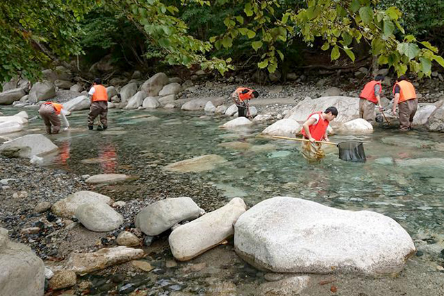 生物多様性回復プログラム