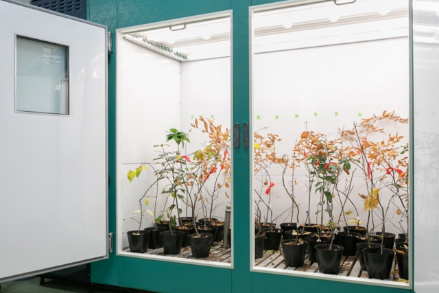 生物育成装置