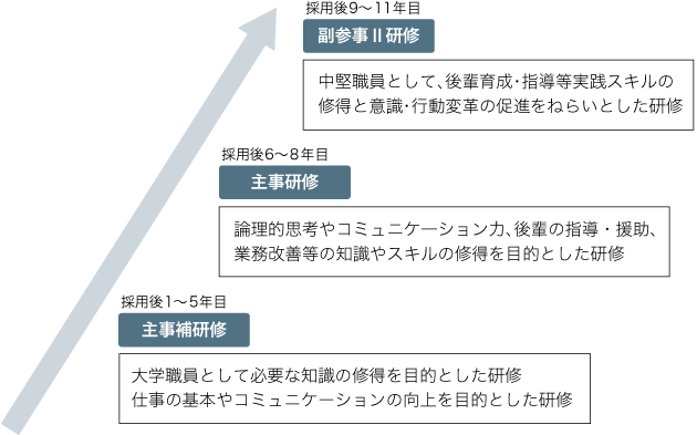 若手職員を対象とした資格別研修